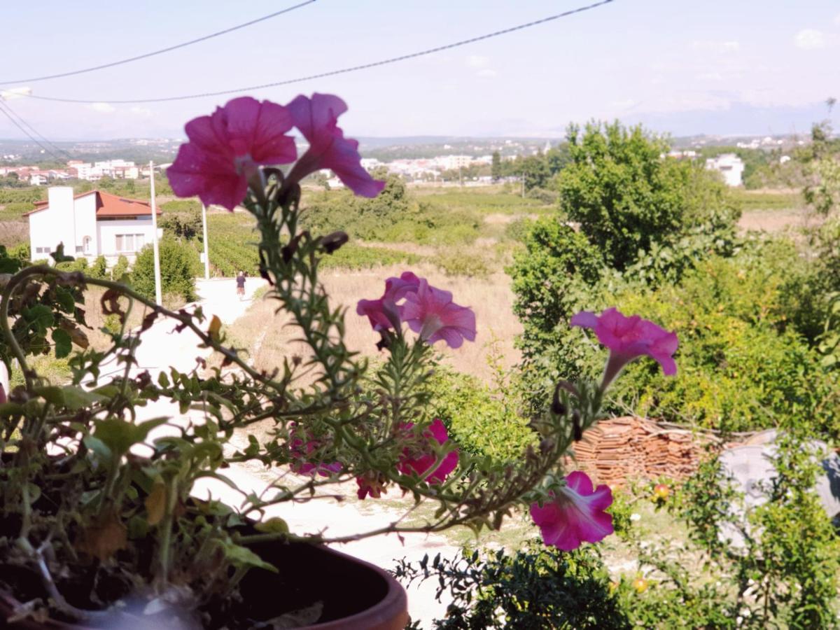 Delia Daire Međugorje Dış mekan fotoğraf